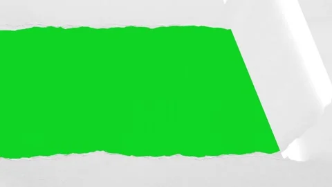 Curled smooth white paper vertical open revealing animated on green screen Stock Footage 335209769