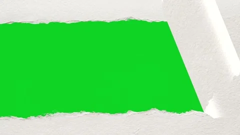 Curled textured white paper vertical peel revealing animated on green screen Stock Footage 335209787