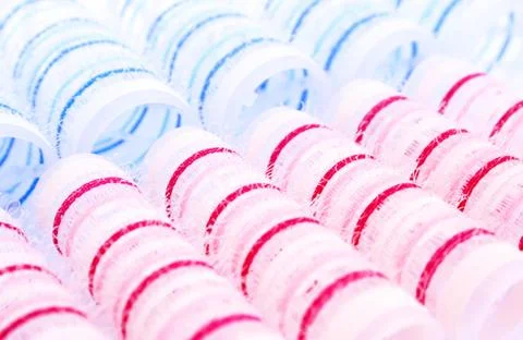 Curlers Stock Photos