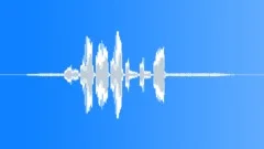 Curlew Call CU Kotu Sound Effect