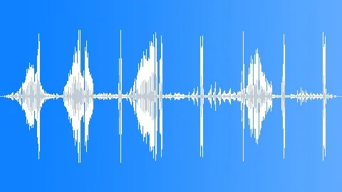 Curlew, Singing Birds Sound Effect