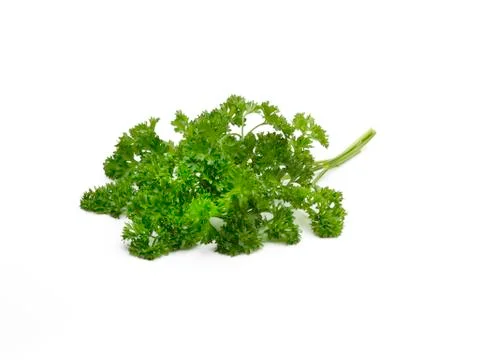 Curley leaf parsley Stock Photos