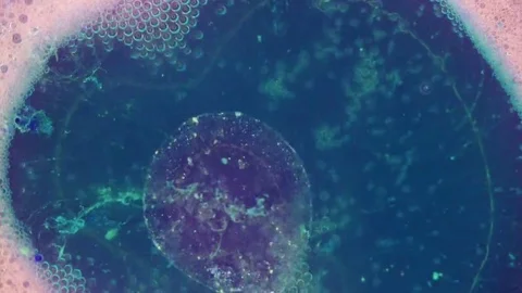 Curlicue of Paints. Fabulous Patterns Video stock 69298030