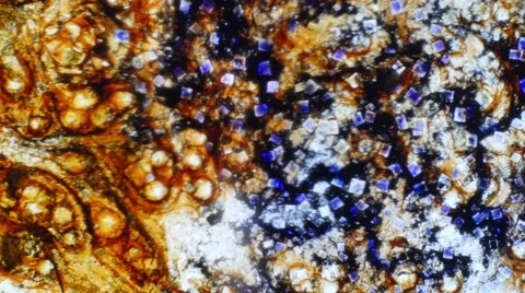 Curlicue of Paints 스톡 동영상 61257461