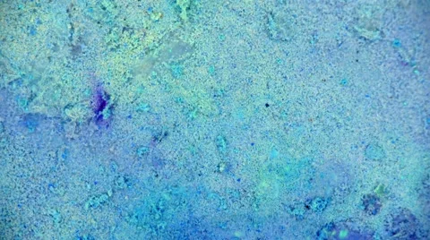 Curlicue of Paints Video stock 68898476