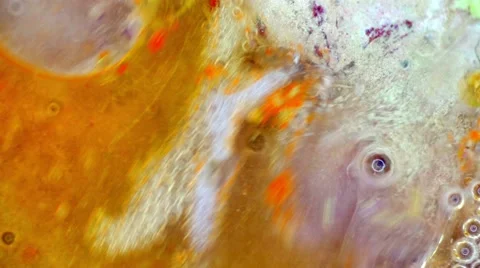 Curlicue of Paints Видео 68900858