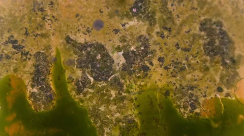 Curlicue of Paints Video stock 68926464