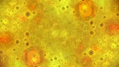 Curlicue of Paints 動画素材 71261918