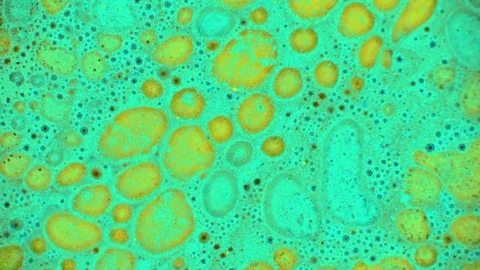 Curlicue of Paints Stockbeeldmateriaal 71261973