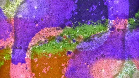 Curlicue of Paints Video stock 71262194
