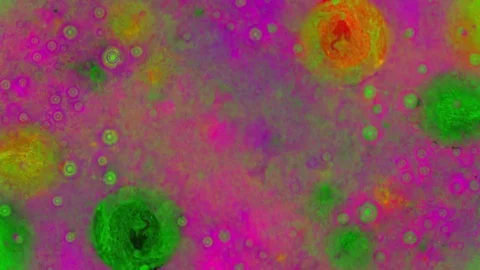 Curlicue of Paints Video stock 71262467