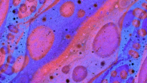 Curlicue of Paints Stock-Footage 71262557