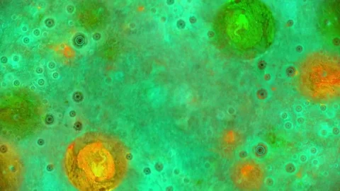 Curlicue of Paints Stockbeeldmateriaal 71262645