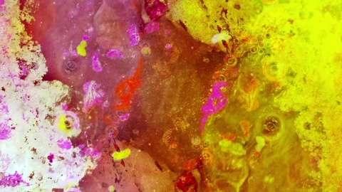 Curlicue of Paints Видео 71263080