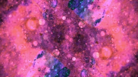 Curlicue of Paints Stock Footage 71263377