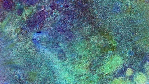 Curlicue of Paints Видео 71263751