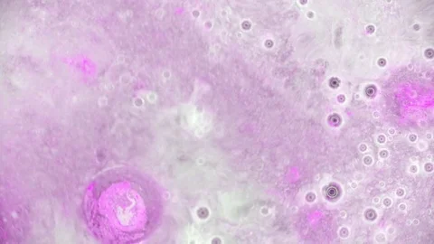 Curlicue of Paints Видео 71264271