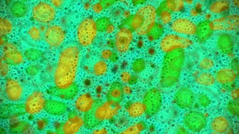 Curlicue of Paints 動画素材 71287760