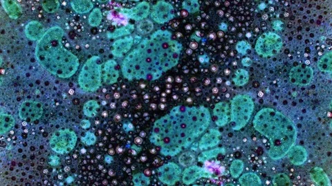 Curlicue of Paints Видео 71288128