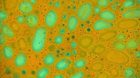 Curlicue of Paints Stock-Footage 71288284