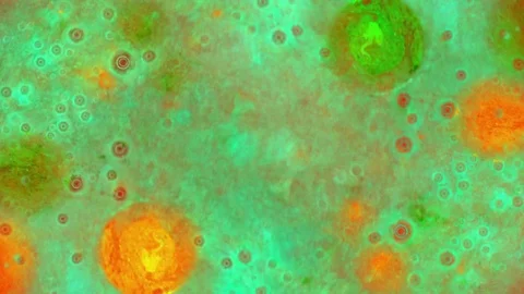 Curlicue of Paints 스톡 동영상 71288587