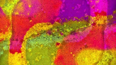 Curlicue of Paints 스톡 동영상 71289220