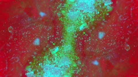 Curlicue of Paints Видео 71289267