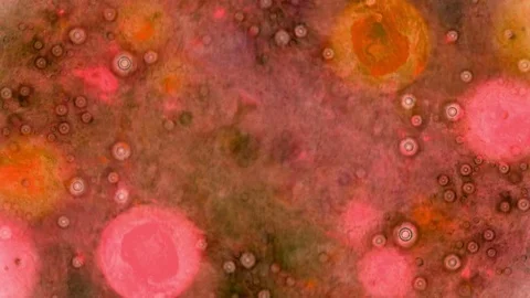 Curlicue of Paints 스톡 동영상 71289348