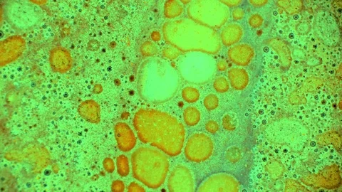 Curlicue of Paints Vidéo 71289512