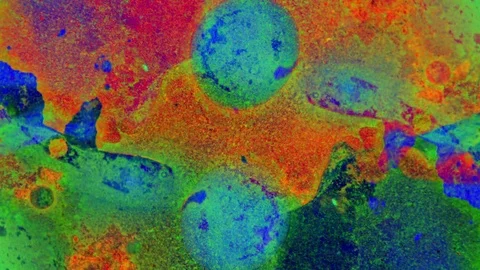 Curlicue of Paints Видео 71290638