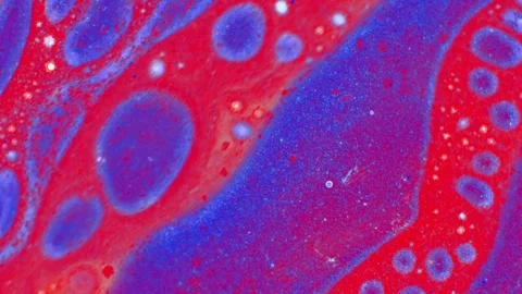 Curlicue of Paints Видео 71292584