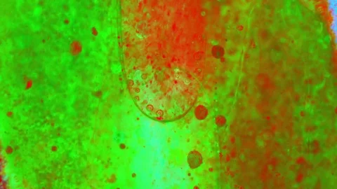 Curlicue of Paints Stockbeeldmateriaal 71300601