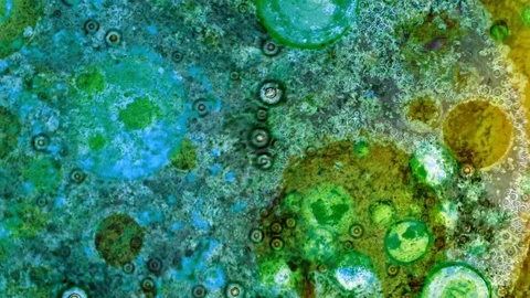 Curlicue of Paints Stock Footage 71302085