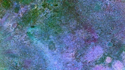 Curlicue of Paints Видео 71302587