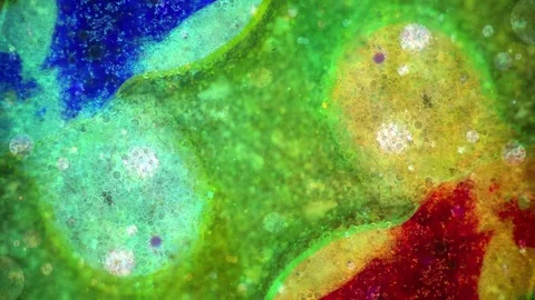 Curlicue of Paints Видео 71304384