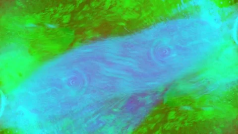 Curlicue of Paints Stockbeeldmateriaal 71306009