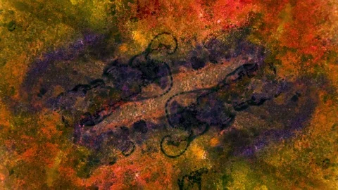 Curlicue of Paints Video stock 71306700