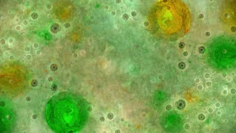 Curlicue of Paints Stock Footage 71307628