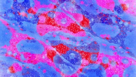 Curlicue of Paints Stock Footage 71307928