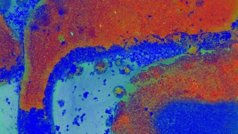 Curlicue of Paints Stockbeeldmateriaal 71311028