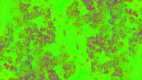 Curlicue of Paints Stock Footage 71311461