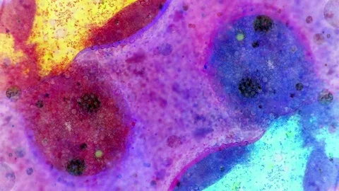 Curlicue of Paints Stockbeeldmateriaal 71311596