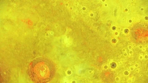 Curlicue of Paints Stock Footage 71311637