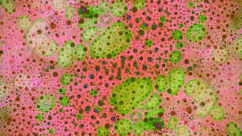 Curlicue of Paints 스톡 동영상 71311845