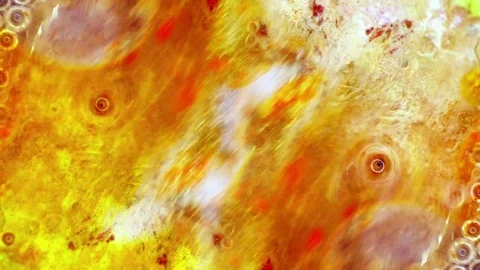 Curlicue of Paints 動画素材 71311953