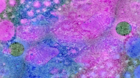 Curlicue of Paints 스톡 동영상 71312079