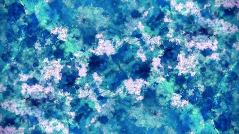 Curlicue of Paints Video stock 71312086