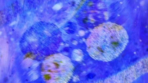 Curlicue of Paints Видео 71312163