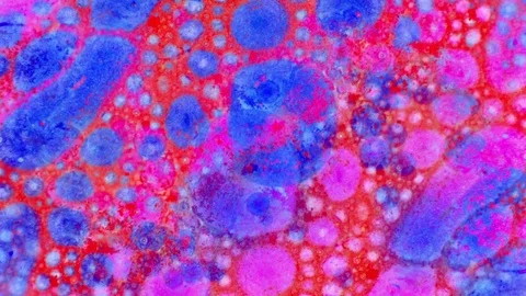 Curlicue of Paints Stock Footage 71312165