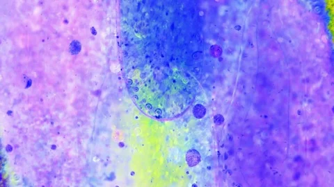 Curlicue of Paints Stockbeeldmateriaal 71312169